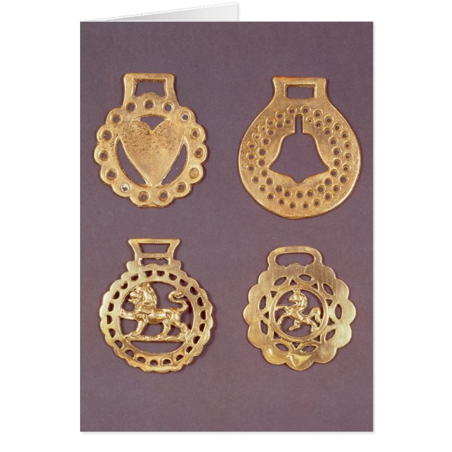 Sélection des laitons de cheval (Devant)