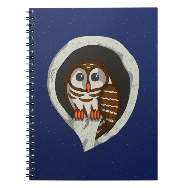 Selene le cahier de la chouette (Devant)
