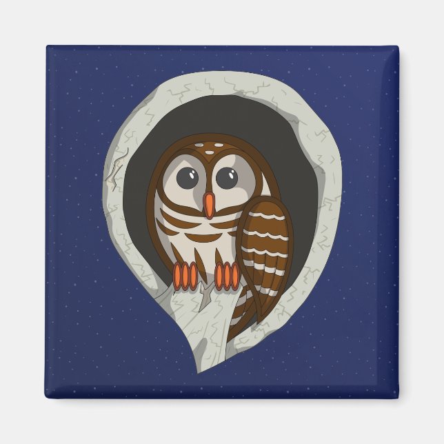 Selene the Owl Magnet (Devant)