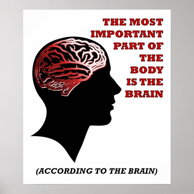 Selon le Poster Drôle du Cerveau (Devant)