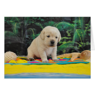 Semaine 2 de Leigh Ann