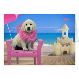 Semaine 8 - Plage Goldie