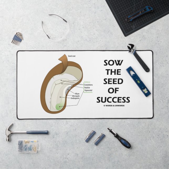 Semence De Succès Dicotyledon Graine De Haricots (Poste de travail)