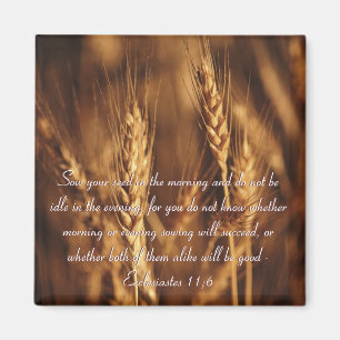 Semez votre aimant de graine… -