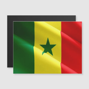 Sénégal - Drapeau d'agitation -