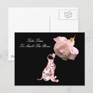 Sentez La Carte Postale Inspirante Rose Puppy Rose