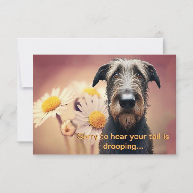 Sentez-vous mieux bientôt Wolfhound irlandais (Devant)