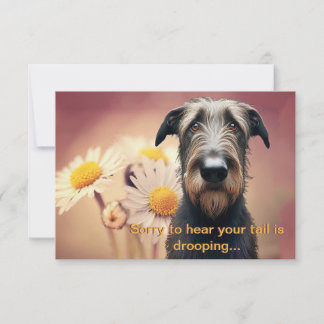 Sentez-vous mieux bientôt Wolfhound irlandais