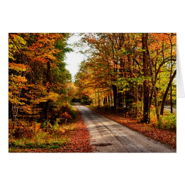 Sentier boisé avec feuillage d'automne (Devant horizontal)