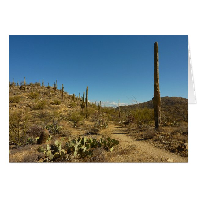 Sentier Carillo du Saguaro dans le parc national d (Devant horizontal)