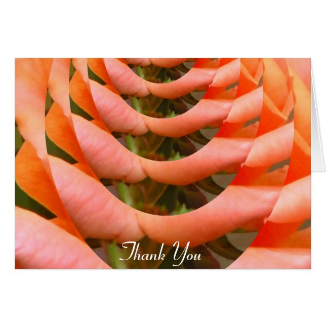 Sentier d'amour_ (Devant horizontal)