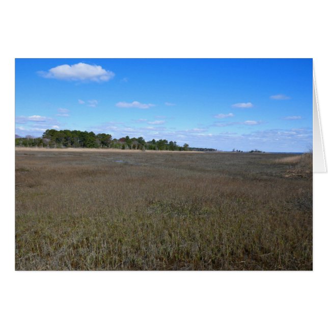 Sentier de la réserve naturelle de l'île Burton (Devant horizontal)