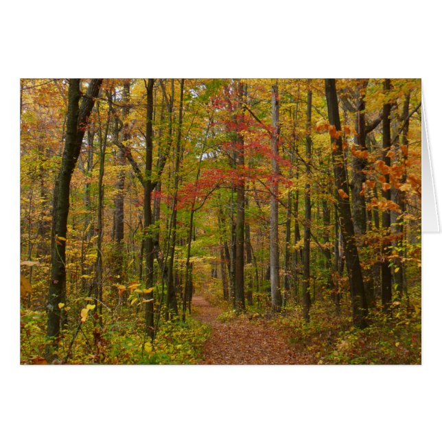 Sentier de Laurel Hill en automne (Devant horizontal)