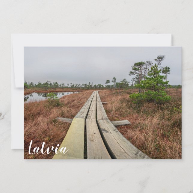 Sentier de randonnée dans le marécage (Devant)