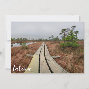 Sentier de randonnée dans le marécage