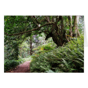 Sentier de randonnée hawaïen