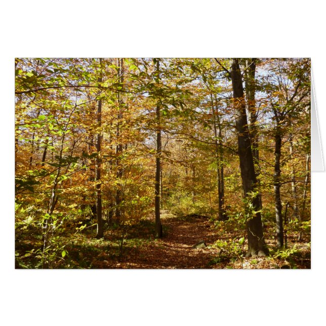 Sentier de Wolf Rocks en automne paysage de Pennsy (Devant horizontal)