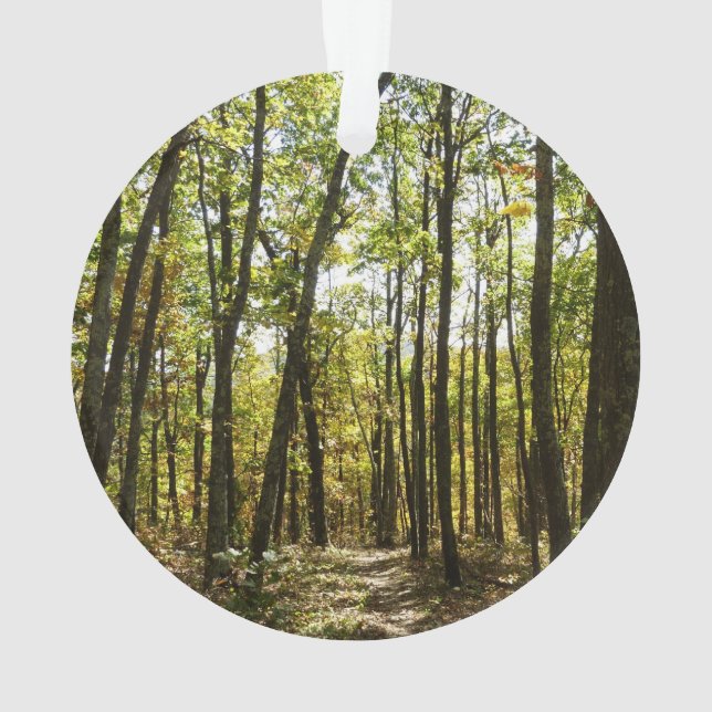 Sentier des Appalaches en octobre à Shenandoah (dos)