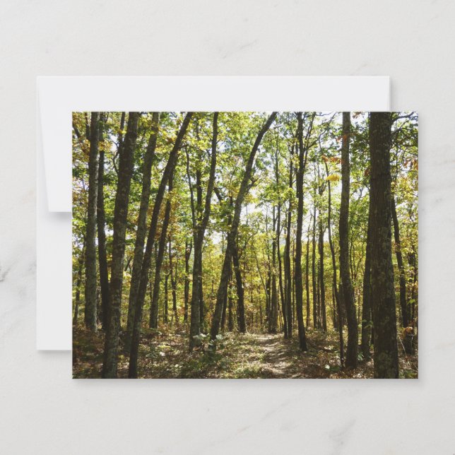 Sentier des Appalaches en octobre à Shenandoah (Devant)