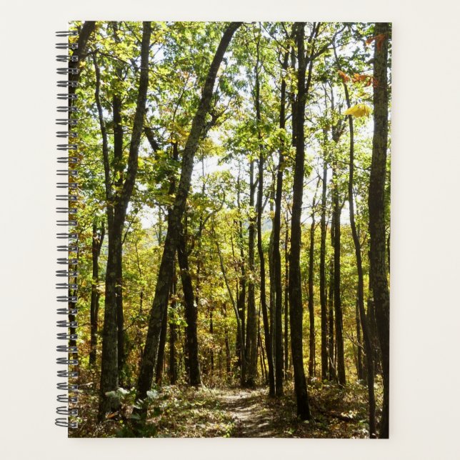 Sentier des Appalaches en octobre à Shenandoah (Devant)