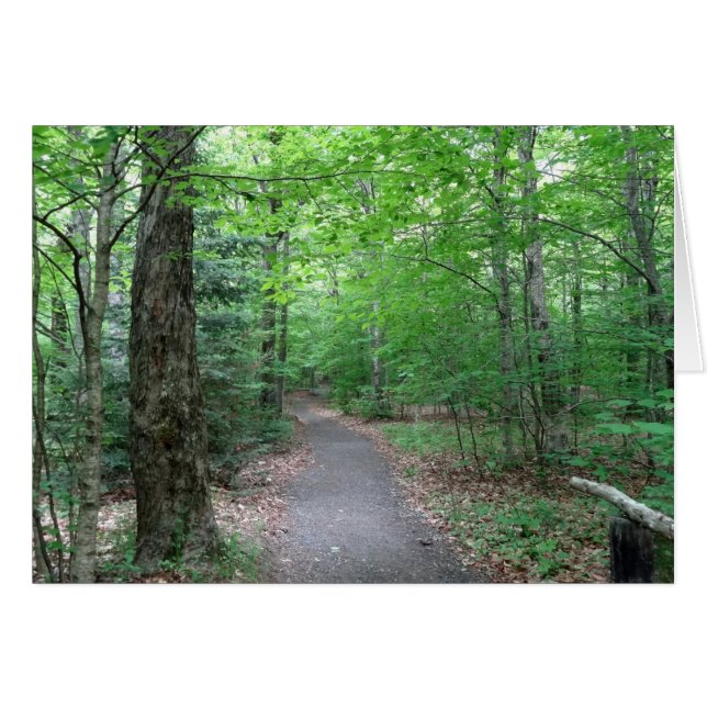 Sentier du lac Lonesome dans le New Hampshire (Devant horizontal)