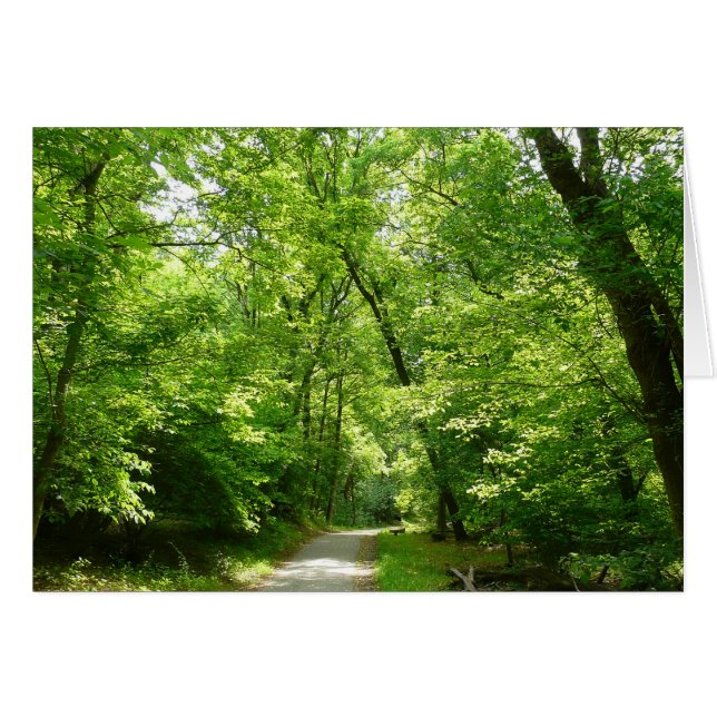 Sentier du moulin à grains I (Devant horizontal)