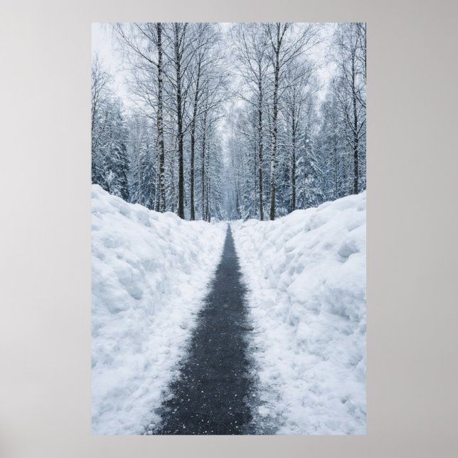 Sentier forestier hivernal brumeux Affiche de pays (Devant)