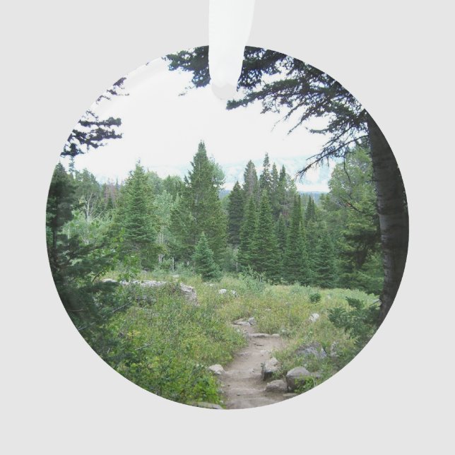 Sentier Grand Teton (devant)