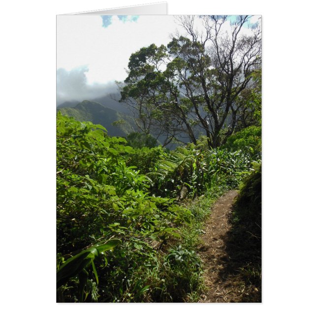 Sentier Randonnée hawaïen (Devant)