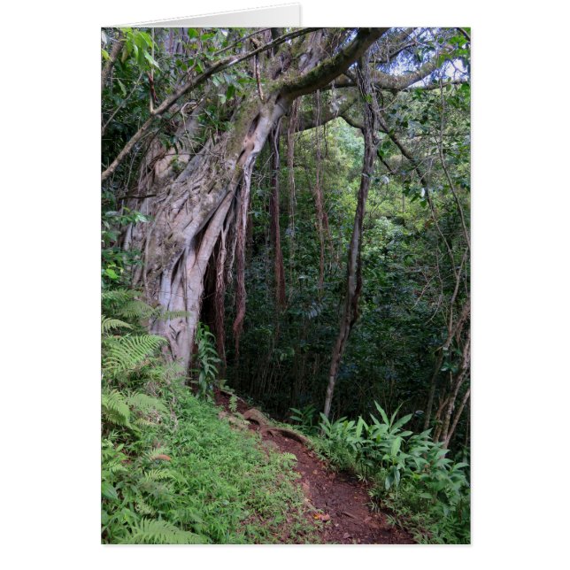 Sentier Randonnée hawaïen (Devant)