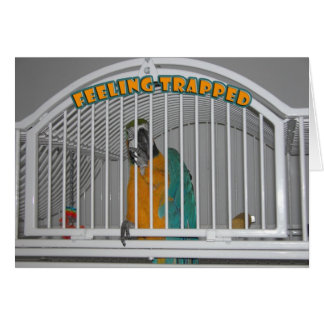 Sentiment emprisonné