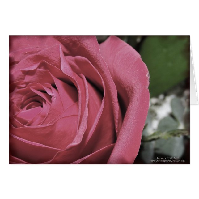 Sentiments délicats (Devant horizontal)