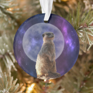 Sentinelle cosmique : Meerkat sous la Pleine lune