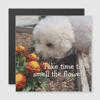 Sentir les Fleurs