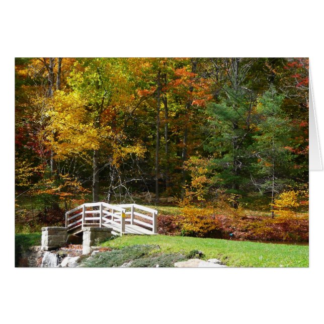 Sept Sources Pont de la Chute I Paysage d'Automne (Devant Horizontal)