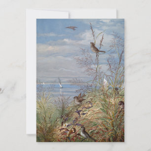 Septembre   Ponts Fidelia