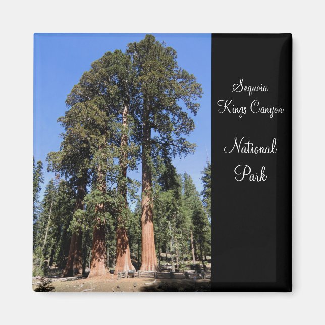 Sequoia/Kings Canyon National Park Magnet (Devant)