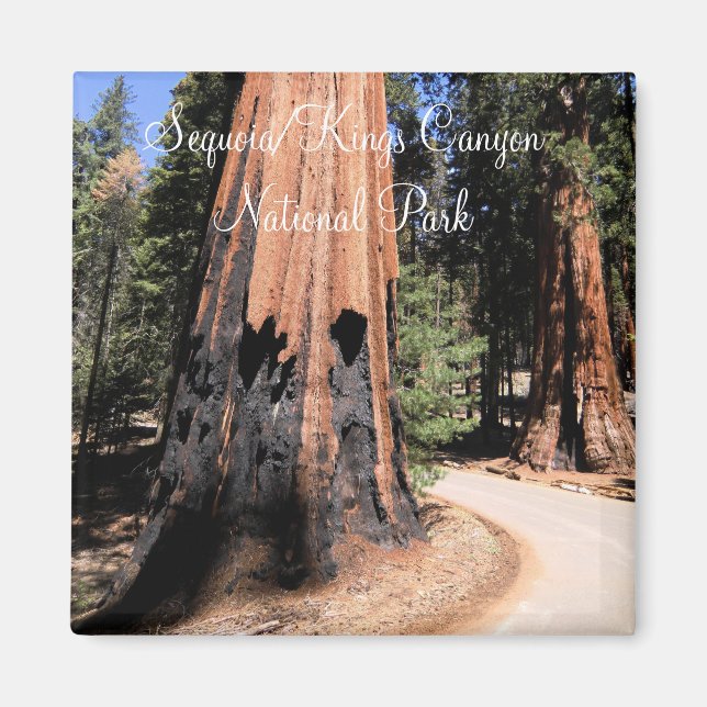 Sequoia/Kings Canyon National Park Magnet (Devant)