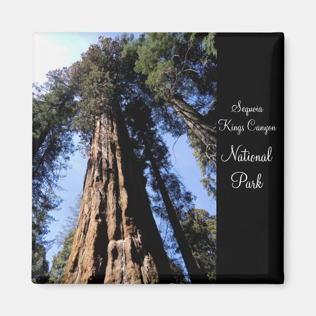 Sequoia/Kings Canyon National Park Magnet (Devant)