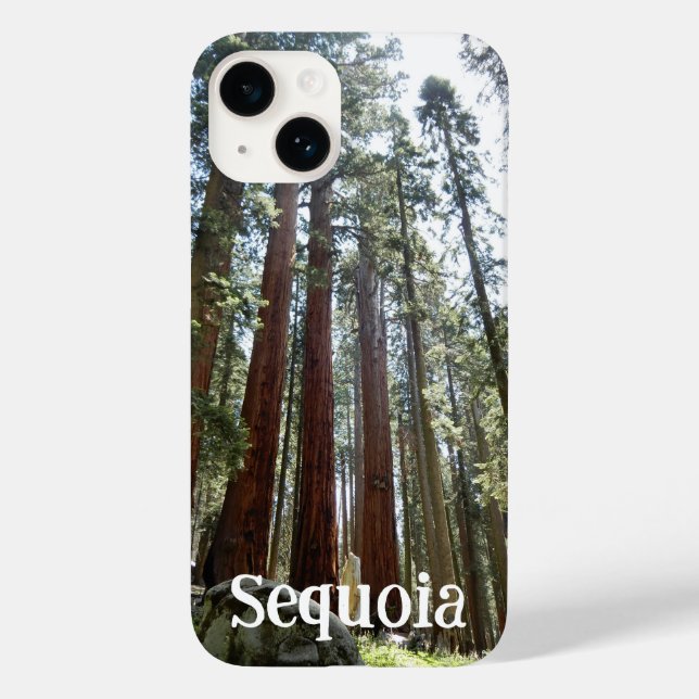 Sequoia National Forest iPhone 14 Coque (Verso)