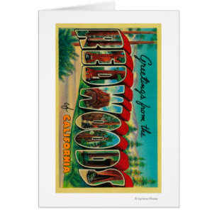 Séquoias, la Californie - grandes scènes de lettre