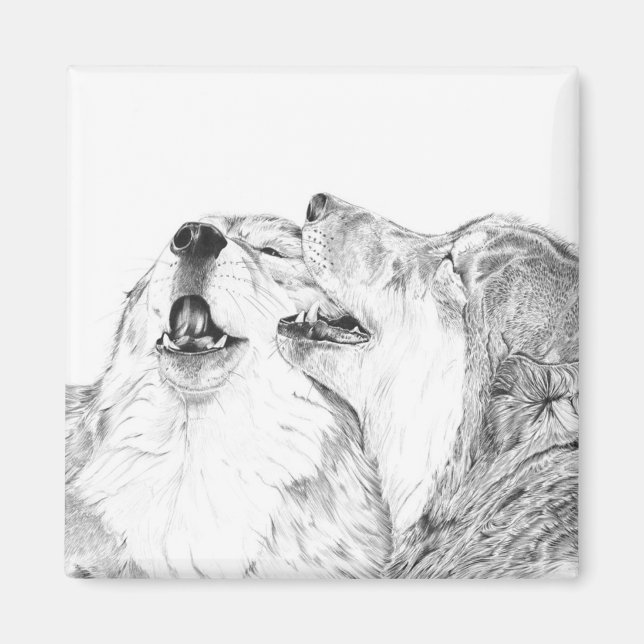 Serenade - Magnet Wolf (Devant)