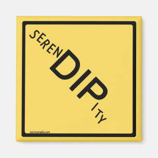 serenDIPity Magnet - 25 $