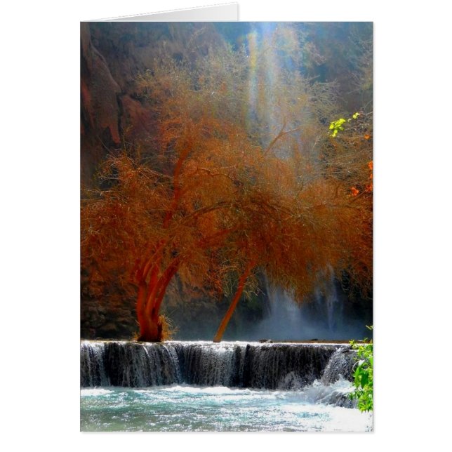 Sérénité de cascade (Devant)