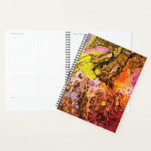 Sérénité de Molten 2