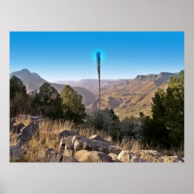Sérénité - Poster (Devant)