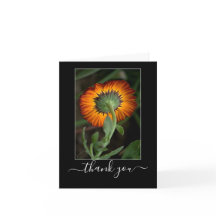 Série d'artistes : Merci d'art Floral Orange