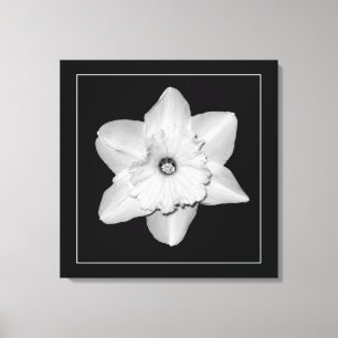 'Série Jonquille, Image 2' Toile Imprimée