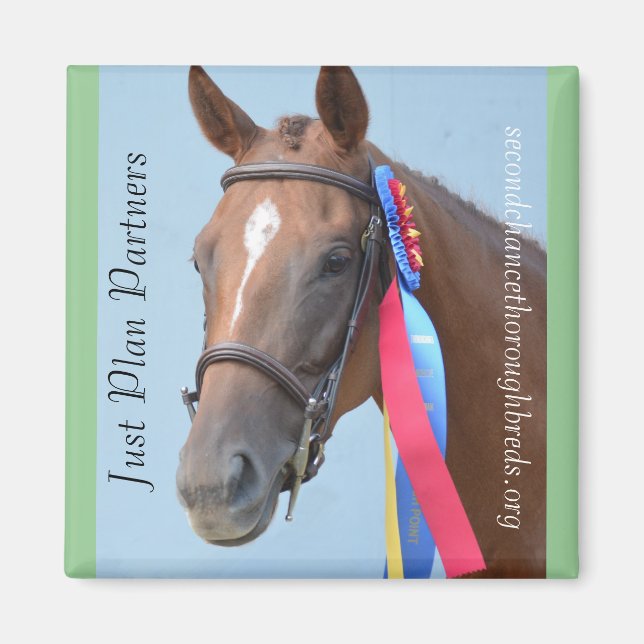 Série Magnet Collectif - Planifiez vos partenaires (Devant)