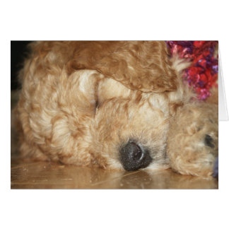 Series-02 nouveau-né